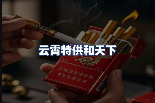 云霄特供和天下